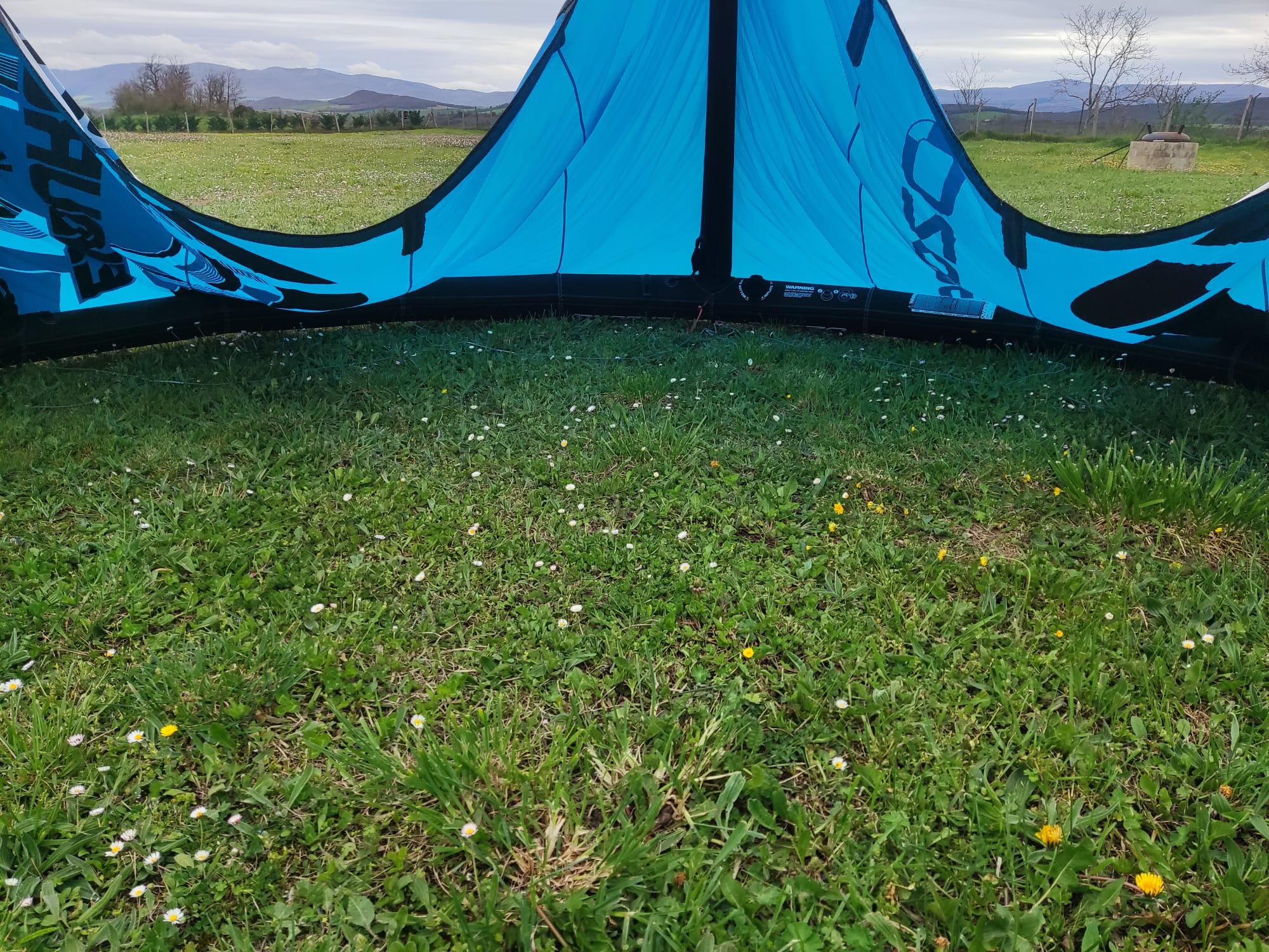 WhatsApp Image 2025-06-06 at 14.55.30 (1)